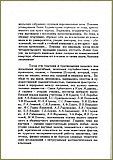 3-58.jpg