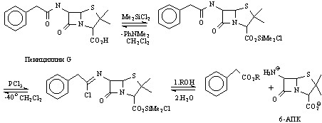 env6.jpg (17900 bytes)