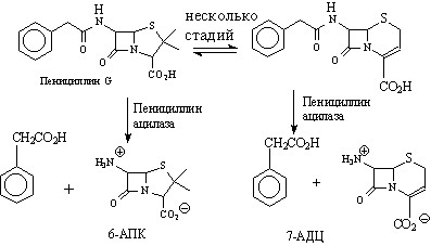 env7.jpg (20241 bytes)
