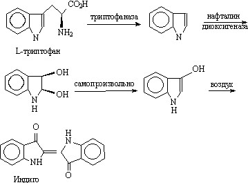 env9a.jpg (17698 bytes)
