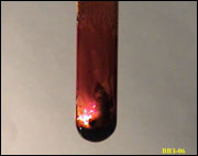    (IV)  