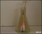    (IV)  